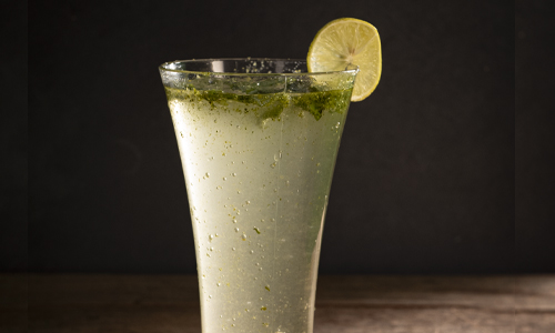 FRESH LIME MINT FIZZ